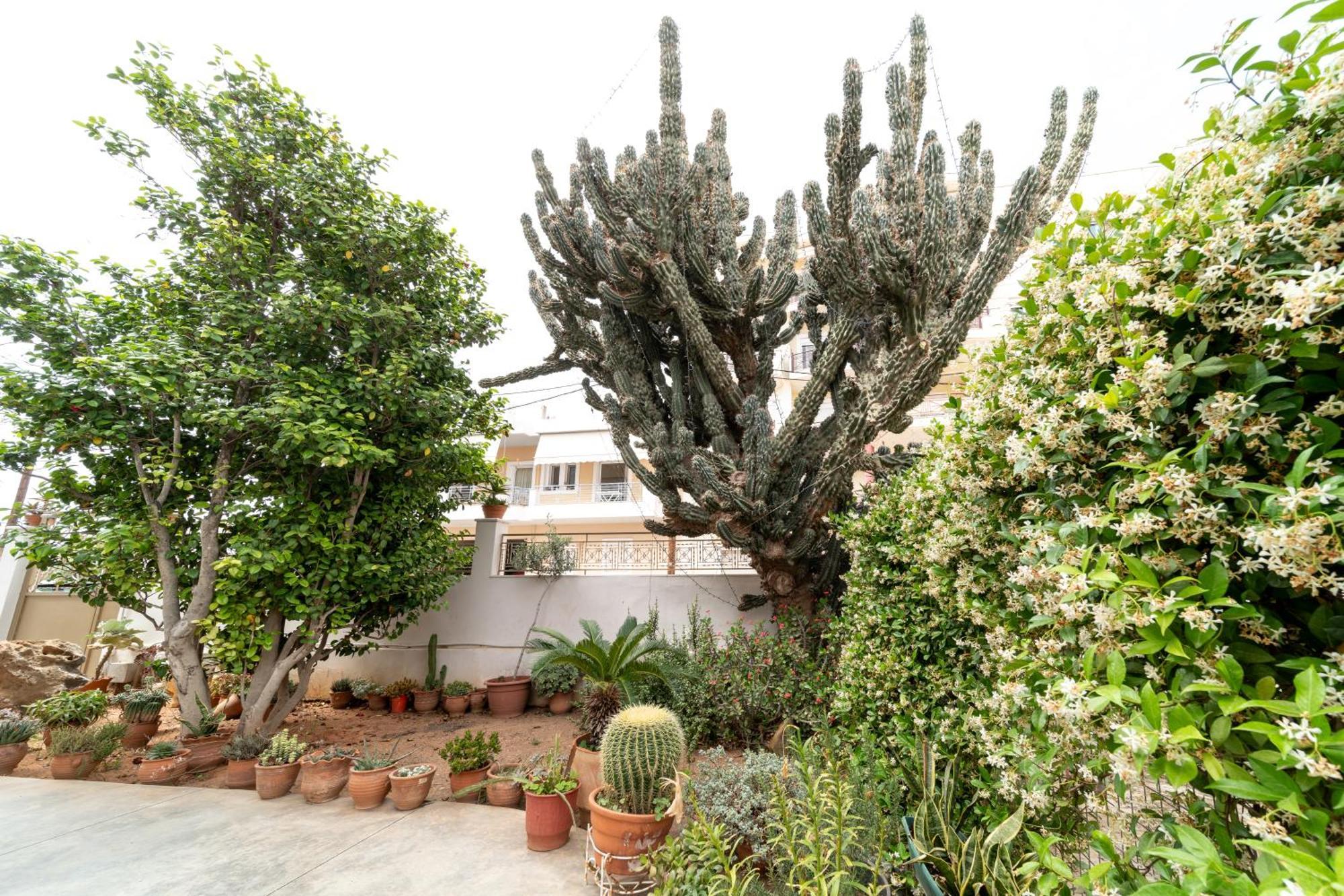 Cactus - Blooming Garden Apartments Kalamáta Eksteriør bilde
